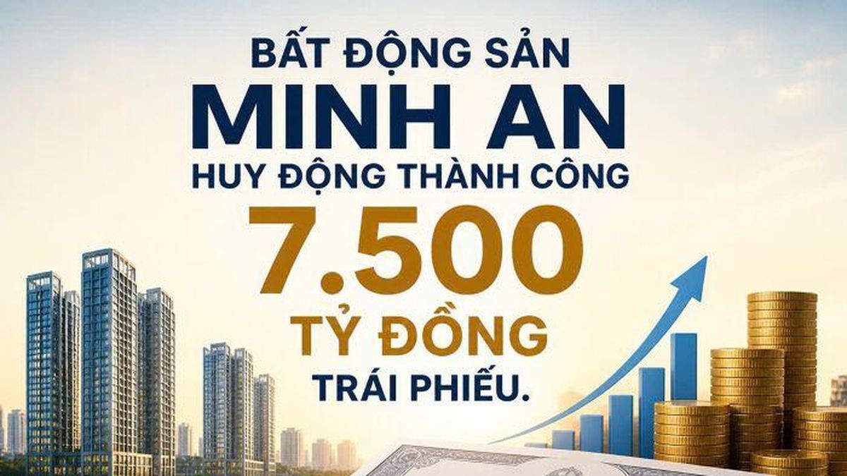 333eed5c3b14d24a8b05-1788678498.jpg