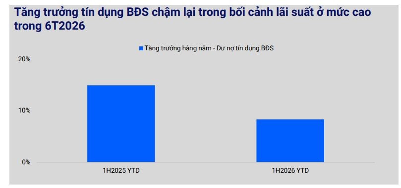 163f-vis-du-bao-thi-truong-va-doanh-nghiep-bat-dong-san2-1791867214.jpg