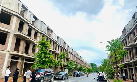 Lãi mỏng dưới 6 tỷ, đại gia bất động sản Hano-vid gánh khối nợ trái phiếu hơn 9.100 tỷ