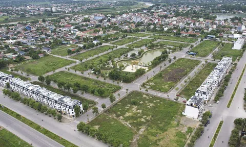 Nợ phải trả gấp hơn 8 lần vốn chủ sở hữu - Bất động sản Thành Vinh chịp áp lực lớn