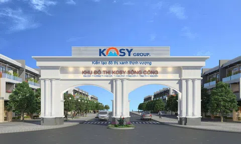 Cổ phiếu KOS lao dốc không phanh và áp lực nợ vay hàng nghìn tỷ