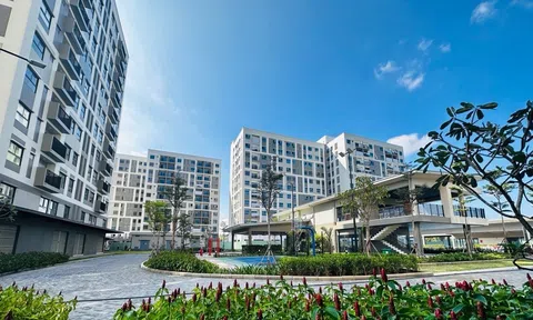 Lãi vay vượt hai chữ số, sức bán chững lại - Chủ đầu tư bất động sản áp lực trước bài toán dòng tiền